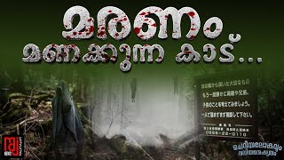 ഇങ്ങനെയും ചില കാടുകളോ??? | Raj News Malayalam | Aokigahara |Forest |Facts