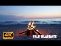 Relaxing fire 4k- RELAX with this 4k bonfire