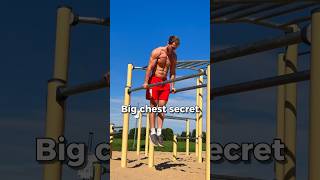 Big chest secret 💪 #calisthenics #bodyweighttraining #streetworkout #fitness #workout #dips #fit