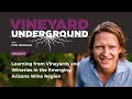 VU Ep51: Learning from Vineyards and Wineries in the Emerging Arizona Wine Region #viticulture