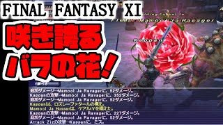 【FF11】ロズレーファタール！神器＜赤魔道士＞＿＿カッパのヴァナ・ディール生活