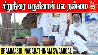 காஞ்சிபுரத்தில் வாழும் சித்தர் | Part-2 SITHAR IN KANCHI | Kattiyakkaran