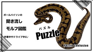 ボールパイソンの聞き流し モルフ図鑑 Puzzle パズル