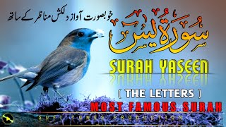 Surah Yasin (Yaseen) سورة يس كاملة Full with Arabic Text & Translations | Quran Tilawat Surat Yaseen