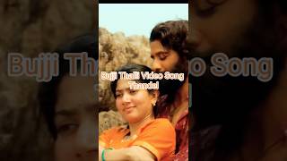 Bujji Thalli Video Song | Thandel | #NagaChaitanya #SaiPallavi| #DSP #thandel #ThandelMovie