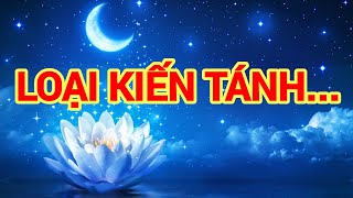 Loại Kiến Tánh ...