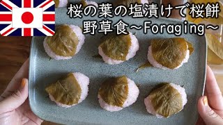 イギリスのその辺の桜の葉で桜餅, Foraging, Sakura Mochi