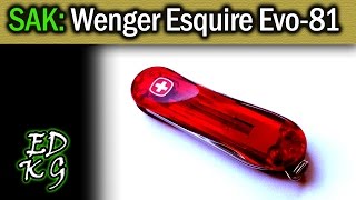 SAK: Wenger Esquire (equivelant to Victorinox Classic)