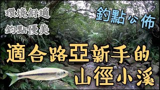 2019.01.XX 適合路亞新手的【山徑小溪】 環境舒適 釣點優美 【釣點公開簡易攻略】 /馬口魚/一支花/山鰱魚 陳小Chi路亞日誌