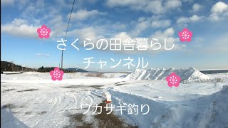 令和2年3月、氷上ワカサギ釣り。DODのテント設営は５分で出来ます😲