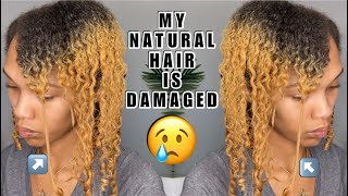 MY NATURAL HAIR IS DAMAGED | Heat Damage? Color Damage?