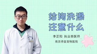 給狗洗澡注意什么