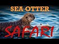 EM1X Adventure Ep. 03: Sea Otter Safari