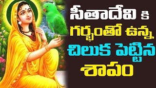 సీతాదేవికి గర్భం తో ఉన్న చిలుక పెట్టిన శాపం || Parrott Curse to Sitha Devi | Sri Rama Navami 2019