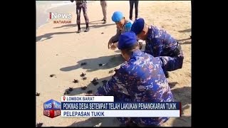 Jaga Eoksistim Bioat Laut, Ratusan Tukik Dilepas