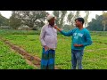 तंबाकू की नर्सरी कैसे करते हैं किसान how farmers do tobacco nursery