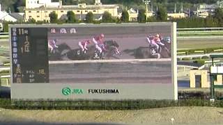 福島競馬2012年11月4日（日）