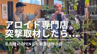 【モンスターアロイド】噂のお店に行ってみたら想像を超えていた