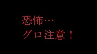 【恐怖】　【閲覧注意】　恐怖の指折り…　心臓の弱い方はご遠慮下さい。　✿´◕‿◕｀✿