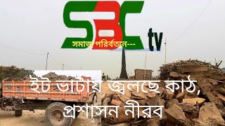 Sbc tv bangla /// ইট ভাটায় জ্বলছে কাঠ, প্রশাসন নীরব