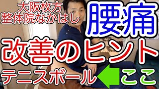 腰痛を改善させるテニスボールストレッチ　【大阪　枚方　整体】