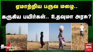 ஏமாற்றிய பருவ மழை.. கருகிய பயிர்கள்.. உதவுமா அரசு? | Nellai Farmers | TN Govt | Malai Murasu