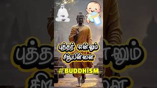 ☸️vallalar about buddhism|Temple|புத்தர் என்னும் சிறு பிள்ளை வள்ளலார் #vallallar#buddhism  #buddha