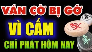 Cờ tướng hay quá vậy mà bị cấm chỉ phát hôm nay