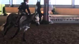 Beaverwoods Pippitti Hunter Pony For Lease Ontario