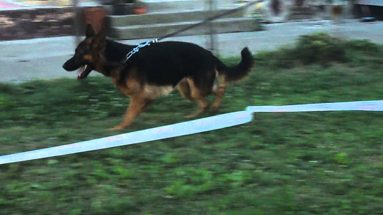 Dscn0791 Youtube