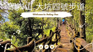 相思木鋪設而成的登山棧道 大坑四號步道至頭嵙山