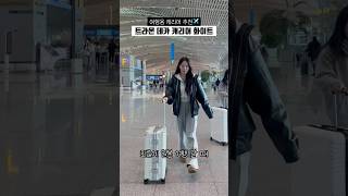 디자인 예쁜 튼튼한 여행용 캐리어 추천✈️