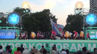 2013 YOSAKOI ソーラン　紅翔連　西8ステージ