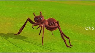 Itsy bitsy spider | Incy wincy spider - 3D Animation English Nursery rhyme song for children