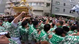 令和元年  　鳥越神社　例大祭　「 阿部川 」本社千貫神輿町内の伝説のバトルが続きます　迫力満点です（生）  。