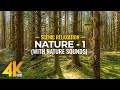 NATURE in 4K UHD - Nature Sounds & Amazing Nature Scenery from all over the World - Episode 1