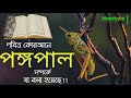 আসছে ভয়ঙ্কর পঙ্গপাল বাংলাদেশ তৈরি তো যে ক্ষতি করবে এরা locust swarm facts in bangla