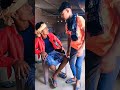 hamara mobile 📱 chahi sunil vlogs trending funny video comedy