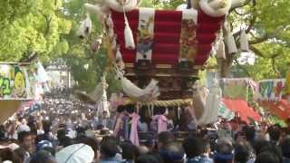 ２０１３年百舌鳥八幡宮ふとん太鼓（西之町　宮出-9）