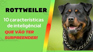 🐕‍🦺"Rottweilers: 10 Características De inteligência Que Vão Ter Surpreender!"