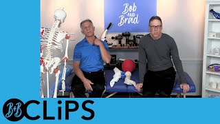 Shoulder Blade Pain Gone in 30 seconds (B&B Clips)