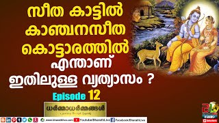 സീത കാട്ടിൽ  കാഞ്ചനസീത കൊട്ടാരത്തിൽ എന്താണ് ഇതിലുള്ള വ്യത്യാസം ?Dharmadharmmangal EP 12| Ramayanam