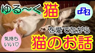 ゆる～く猫を見ながら猫のお話～ぬこさん、みこさんをひたすら眺めるだけの癒し動画