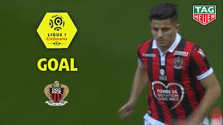 Goal Youcef ATAL (20') / OGC Nice - RC Strasbourg Alsace (1-0) (OGCN-RCSA) / 2018-19