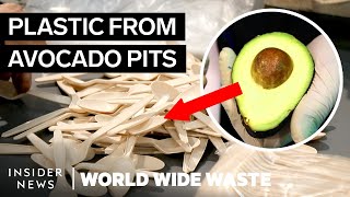 How Avocado Waste Is Turned Into Plastic | World Wide Waste