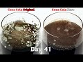 Coke VS Coke Zero - Time lapse [4K] (TOP REQUEST)