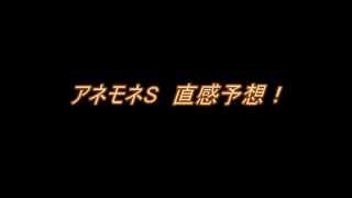 アネモネS 　直感予想！