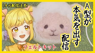 【手元配信注意】はじめてのフェルトキット😋【咲乃らん】