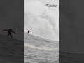 slabbing mavericks peter mel 🏄‍♂️⚡️💦 12 23 24 petermel mavericks powerlinesproductions