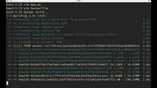 hello world (Python & Docker)